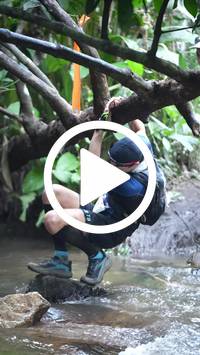 BIB:  <button type="button" onclick="openModal(27824693)" class="btn btn-primary btn-sm float-right" data-toggle="modal" data-target=".modal-high-quality">
                <i class="fa fa-download"></i> Download
                </button>